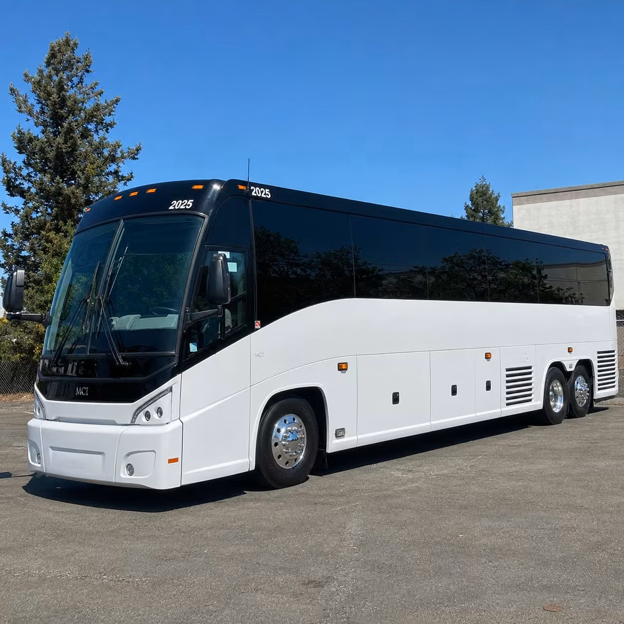 revere wedding groups and reunion travelers love long distance charter buses